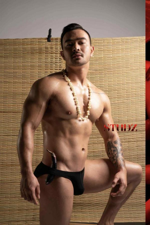 STUDZ-01--Zesty--Ebook--Video-